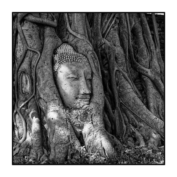 Wat Mahathat, Ayutthaya, Thailande