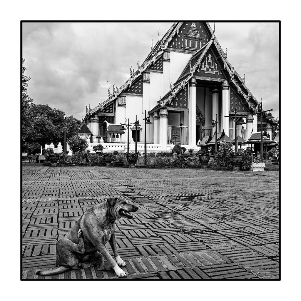 Wiharn Phra Mongkhon Bophit, Ayutthaya, Thailande