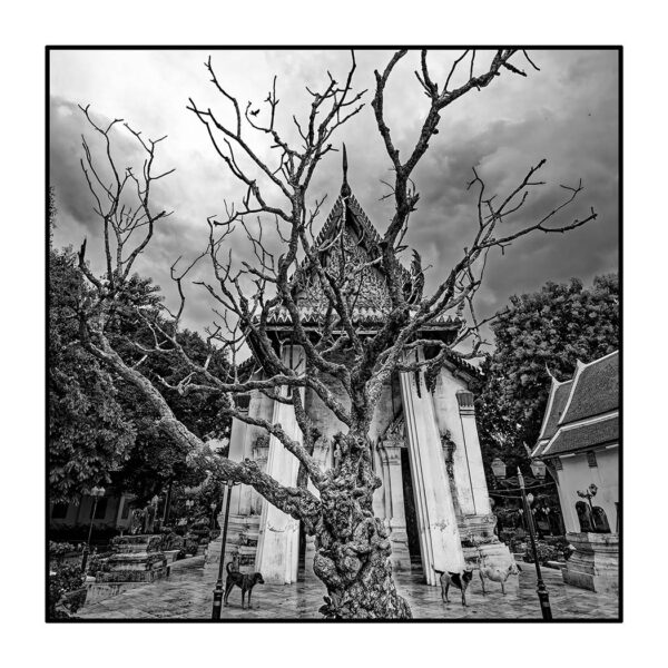 Wat Ko, Petchaburi, Thailande