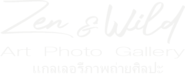 Logo Zen and Wild