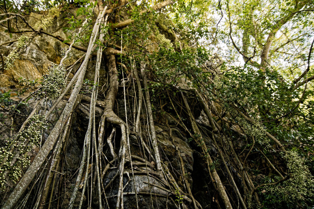 Phnom Sorsia Cave