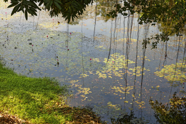 Bakong, Angkor