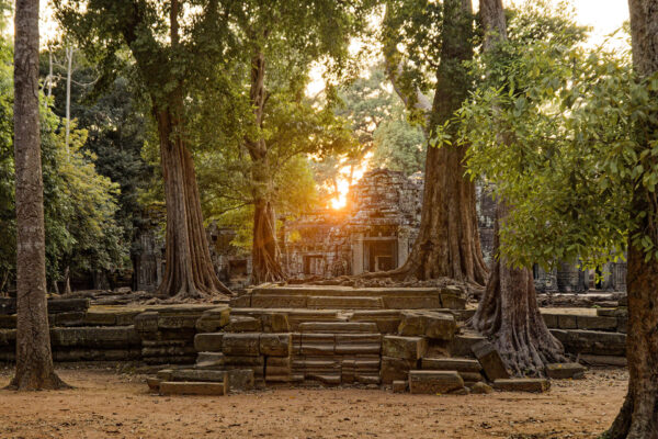 Ta Prohm, Angkor