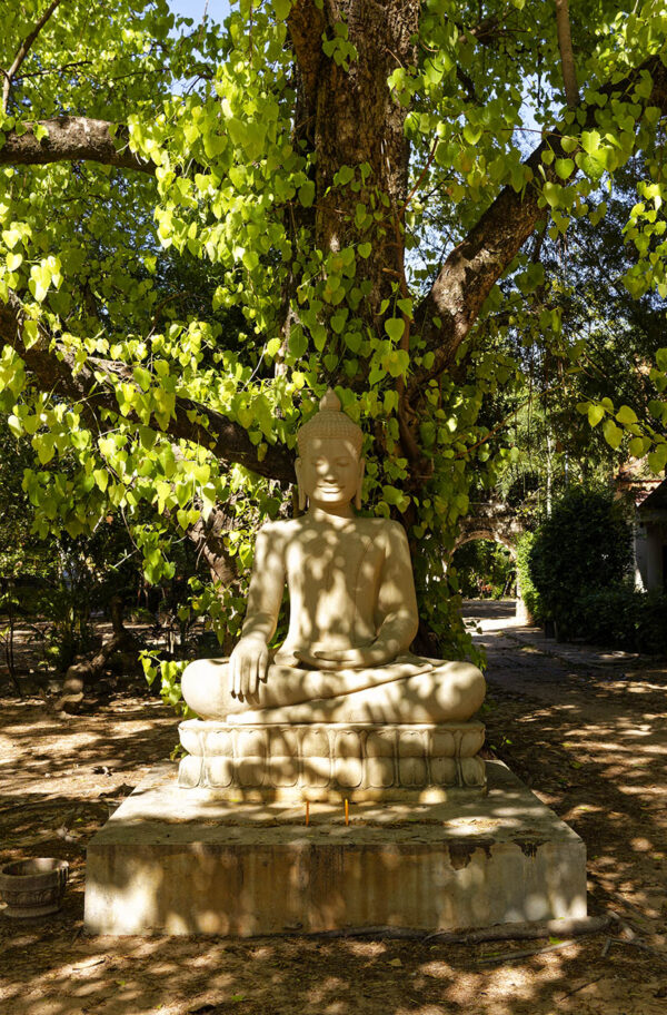 Wat Bo, Siem Reap