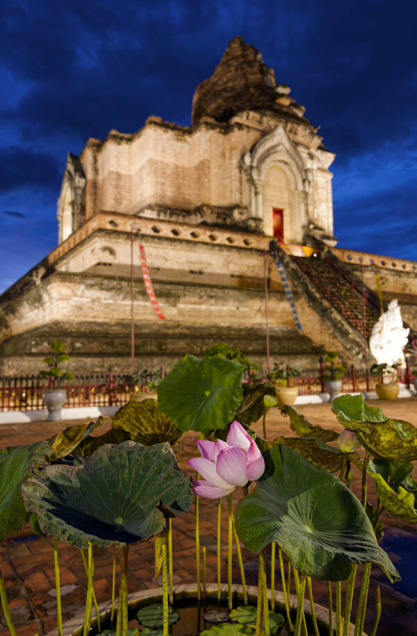 Wat Chedi Luang, Chiang Mai
