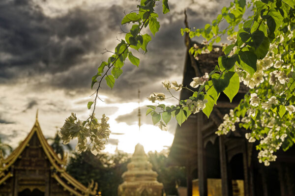 Wat Phra Singh, Chiang Mai