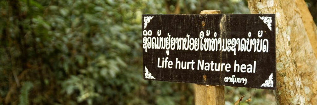 Forêt de Nong Khiaw, Laos