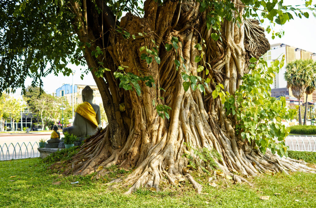 Wat Botum, Phnom Penh