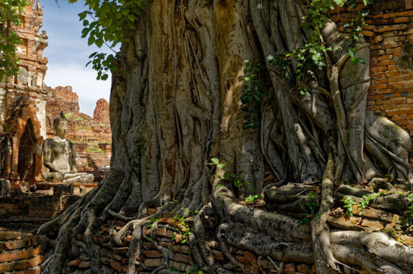 Wat Mahathat, Ayutthaya