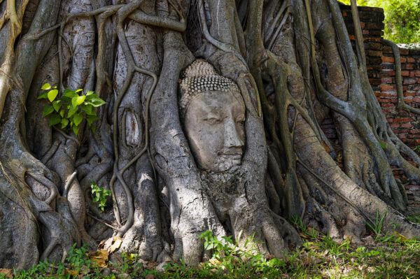 Wat Mahathat, Ayutthaya