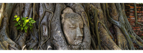 Wat Mahathat, Ayutthaya, Thailand