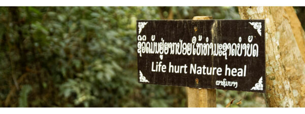 Nong Khiaw Forest, Laos