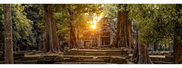 Ta Prohm, Angkor, Cambodia