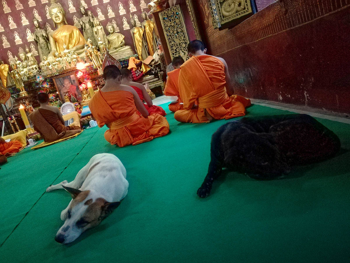 Wat Pa Phai, Luang Prabang Wat Pa Phai, Luang Prabang